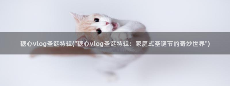 糖心vlog女神lingxi