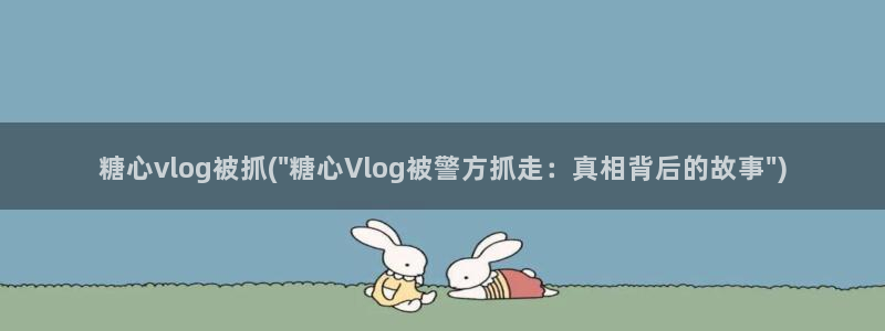 糖心vlog糖心宝贝：糖心vlog被抓(