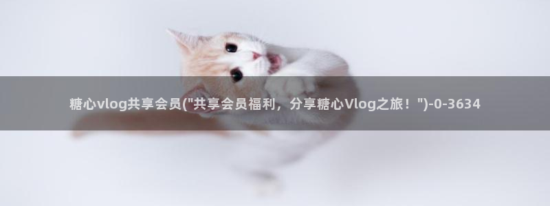 糖心vlog马甲已经满