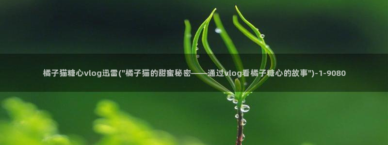 糖心vlog哪里下载：橘子猫糖心vlog