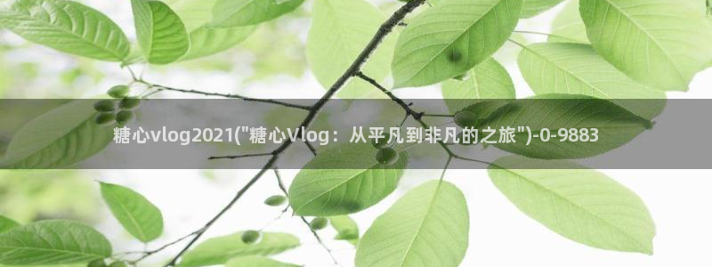 糖心vlog幸福宝