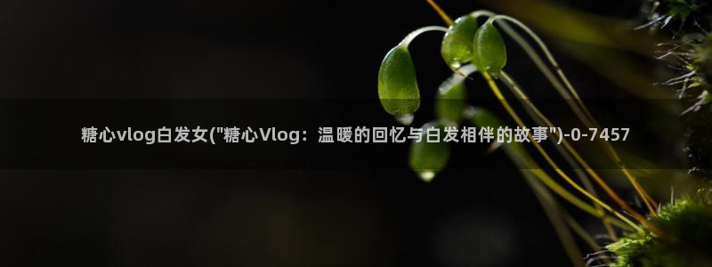 糖心少女VLOG头像