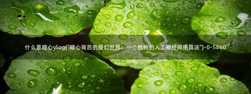 糖心vlog回家
