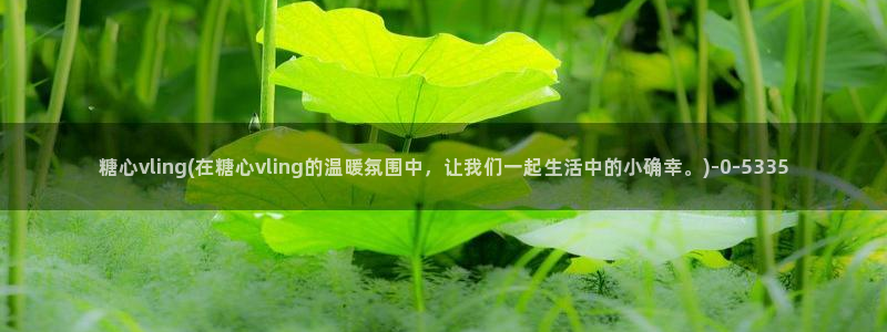 糖心vlogcom.