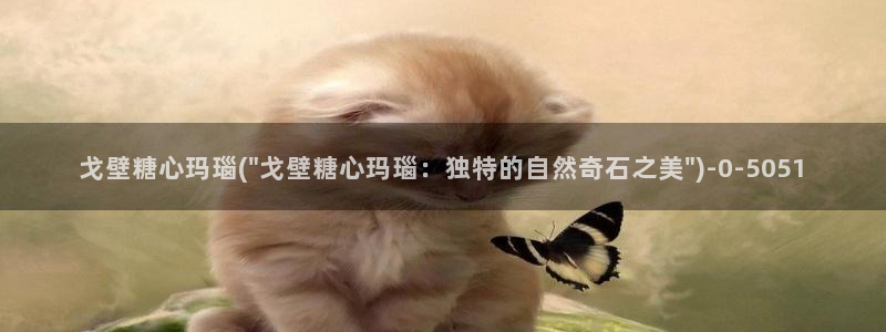 糖心vlog全部作品