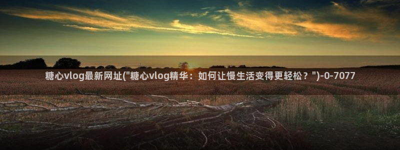 糖心vlog原创