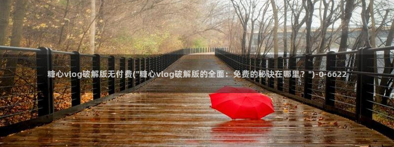 糖心破vlog解版
