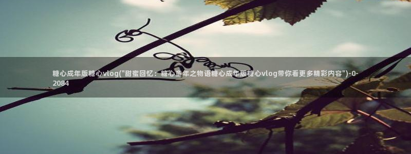 糖心vlog都有谁