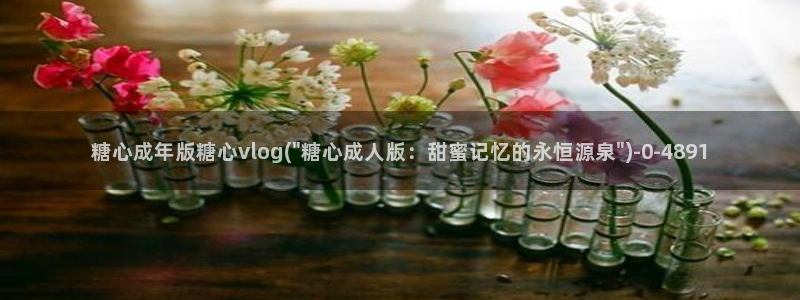 糖心破vlog解版