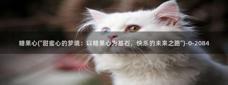 心糖vlog视频在线观看