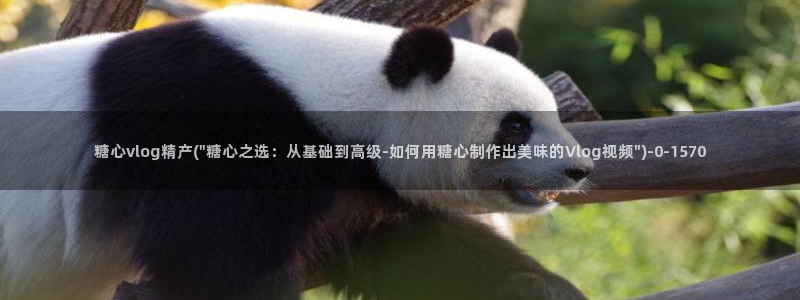 糖心vlog萝莉