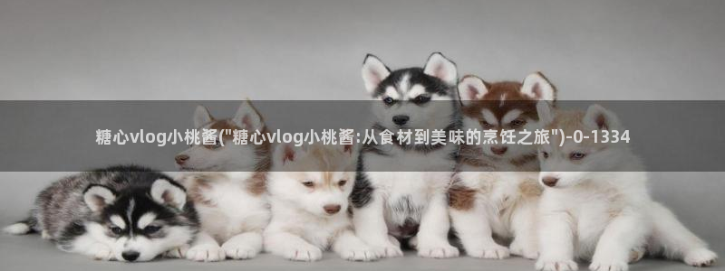 糖心vlog网页入口