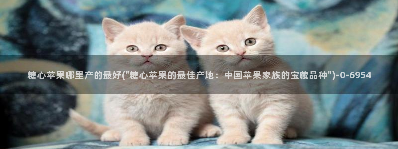 糖心vlog在线观看入口